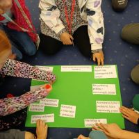 IMG_20260204_102810.jpg