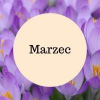 Zajęcia cykliczne - marzec