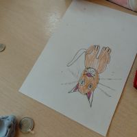 20260303_132944.jpg