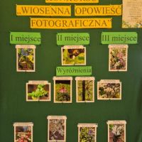 Wiosenna opowieść fotograficzna - konkurs dzielnicowy