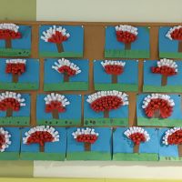 IMG_20260427_163108.jpg
