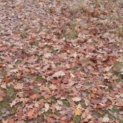 20161102_121325.jpg