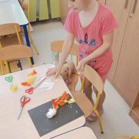 IMG_20260528_101857.jpg