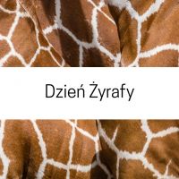 Żyrafa.jpg