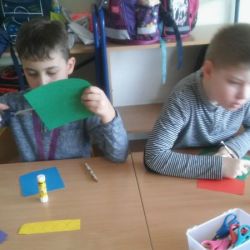 Dzień cytrusów - drzewka mandarynkowe i cytrynowe