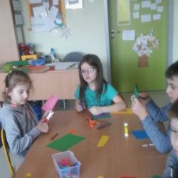 Dzień cytrusów - drzewka cytrusowe