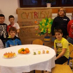 Święto cytrusów