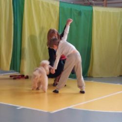 20170223_111414.jpg