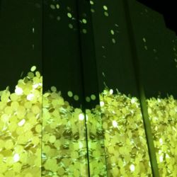 20170215_114112.jpg