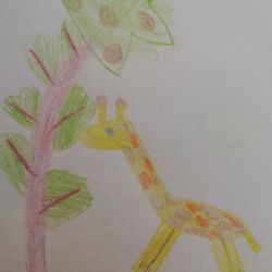 20170216_144601.jpg